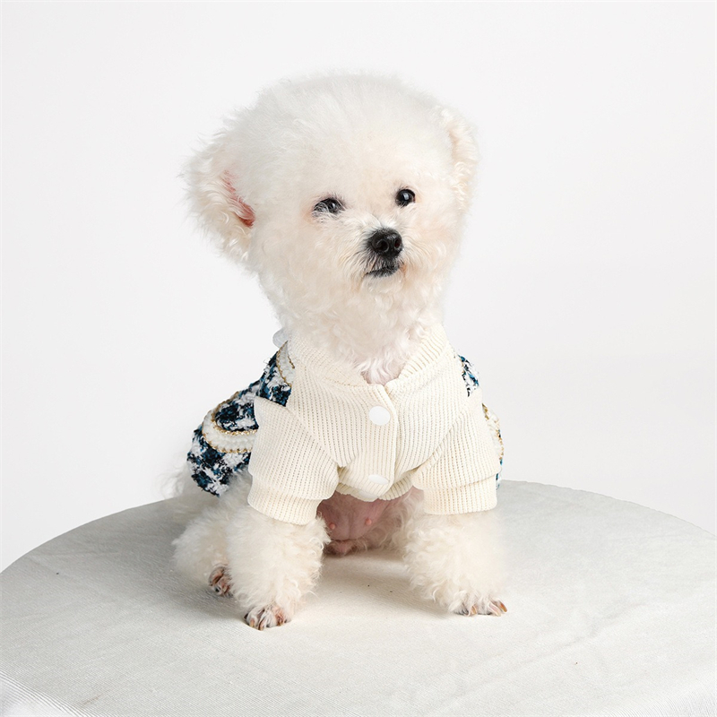 Princess Small Medium Dog Clot - đánh giá và giá Winter Clothing Kids
