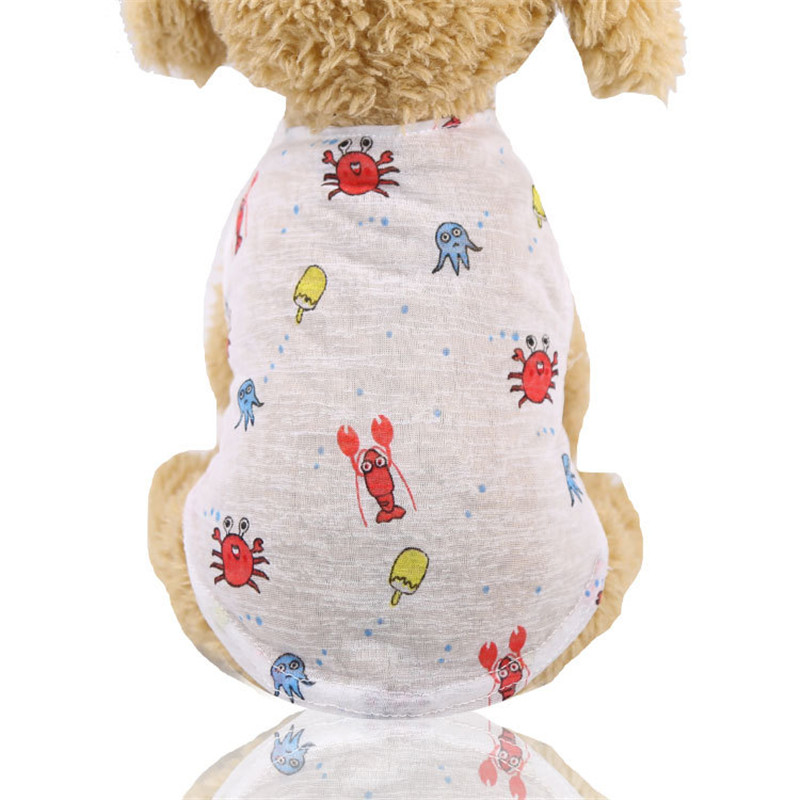 5 Colors Summer Lovely Cartoon - đánh giá và giá Winter Clothing Colors