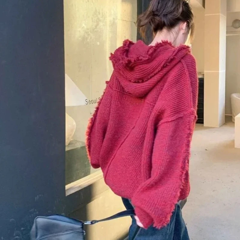 Autumn and Winter Thick Hoodie - đánh giá và giá Winter Clothing Essentials For Women