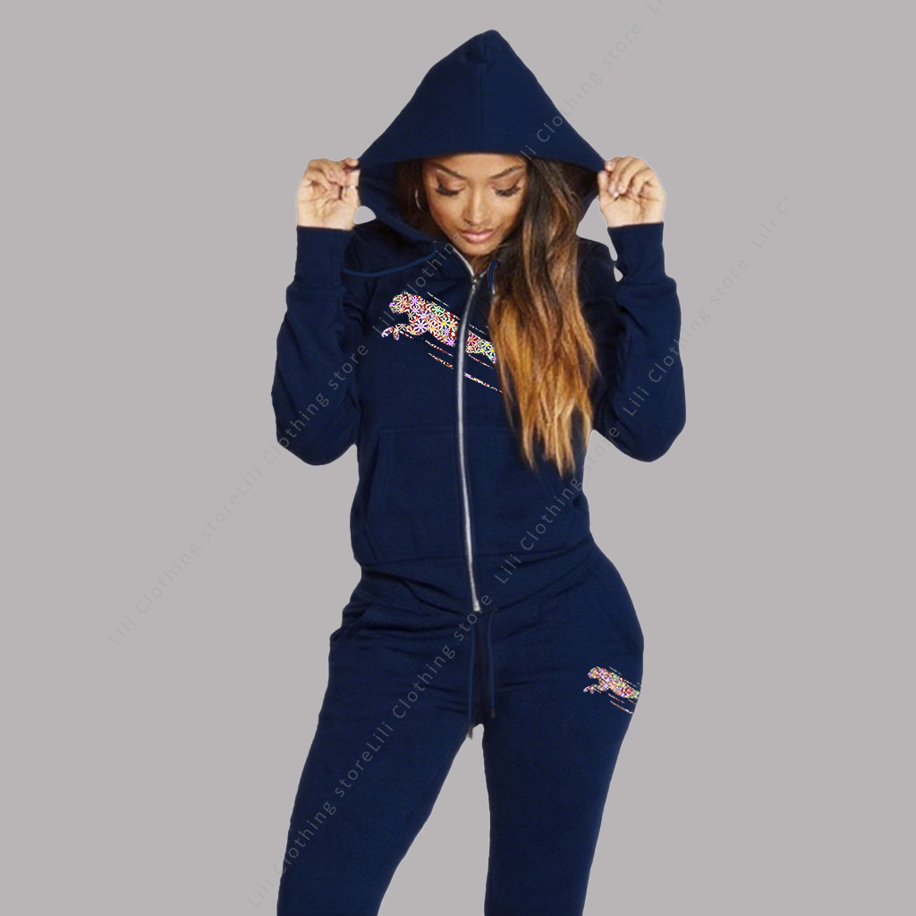 Women's Track Suit Aesthetic H - đánh giá và giá Fleece Hoodie Lined